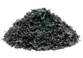 Pure Black Cavendish
