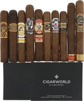 Tasting Sampler Aficionado (10 Zigarren)