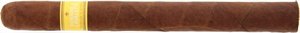 Honduras Yellow Churchill