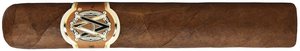 Heritage Robusto