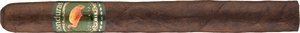 Honduras Churchill