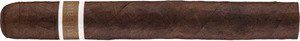 CroMagnon Aquitaine Anthropology (Grand Corona)