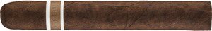 CroMagnon Aquitaine Cranium (Gran Toro)