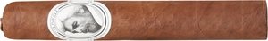 Eastern Standard Corretto (Robusto)