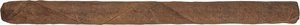 1787 Rain Forest Lanza