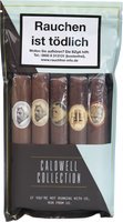 Sampler Fresh Pack Toro