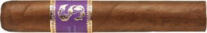 Exposure No. 2 Robusto (2022)